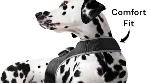 Mini GPS Cat Tracker Waterproof Collar Mount Realtime Tracking Device Size:L