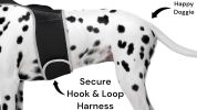 Collar Clipped GPS Cat Tracker Enhanced Realtime Wireless Pet Locator Size:L