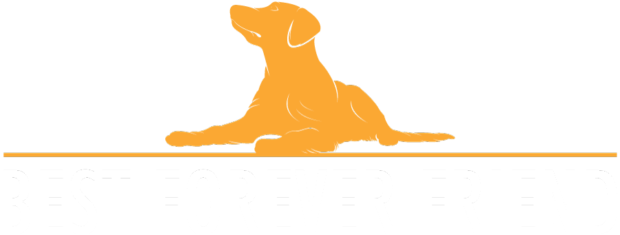 Best Forever Friend