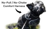 Portable Cat Tracking Device Mini Waterproof GPS Pet Location Finder