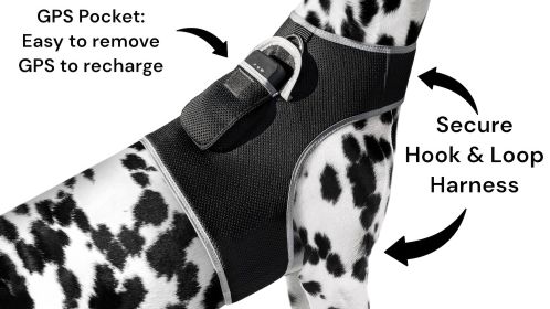 Pet Safe - Pet Tracker Mini Collar GPS Tracking for Dogs Wireless Locator (size: M)
