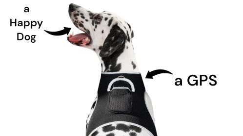 Mini Rechargeable Pet Tracker GPS GSM Realtime Tracking System for Cats & Dogs (size: M)