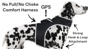 Realtime Water Resilient Adjustable Cat Tracking Collar Mounted GPS Pet Locator