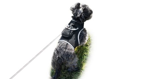 Realtime Tracking with Waterproof GSM Pet GPS Locator Device Portable (size: XS)