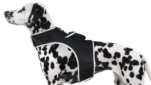 Locate Your Dog with Rechargeable Mini GPS Pet Collar Tracking Device (size: M)