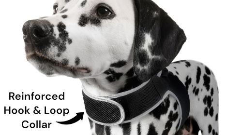 Durable Waterproof GSM GPRS Tracking Device Realtime Tracking for Pets (size: L)