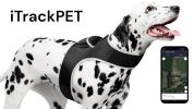 Easy Setup Realtime Waterproof GSM GPRS Pet Rechargeable GPS Tracker