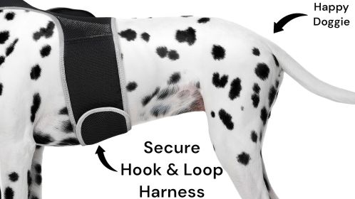 GPS Dog Tracking Unit GSM Mini Waterproof Realtime Pet Tracker/Finder (size: L)