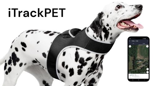 NEW Movement Sensitive GSM GPS Phone Pet Tracker Waterproof Collar Tag (size: L)