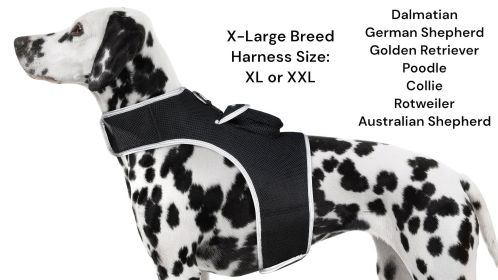 Movement Triggered GPS Tracking Pets Collar Tracker Rechargeable Tool (size: L)