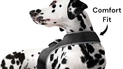 Mini Realtime GPS Collar Pet Tracker Wireless Exact GSM GPRS Tracking (size: L)