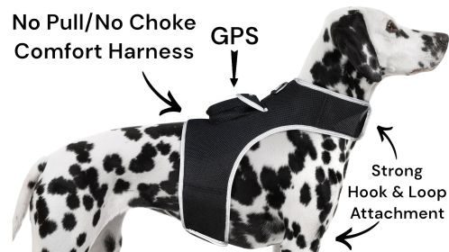 Mini Realtime Tracking Device GPS Collars for Dogs Waterproof Tracker (size: L)