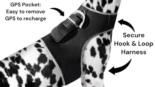 NEW Realtime GPS Pet Locator Waterproof Rechargeable Tracking Device (size: L)