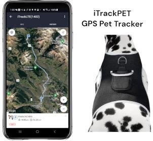 Collar Mount GPS Dog Tracker Waterproof Realtime Wireless Pet Monitor (size: M)