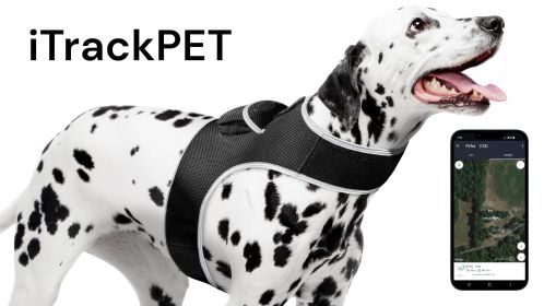 Get Highly Precise Readings w/ Pet Tracker Mini Dog Tracking Collar Device (size: M)