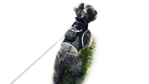 Get Accurate Pet Locations w/ Pet Tracker Realtime Dog Collar GPS Tracker (size: M)