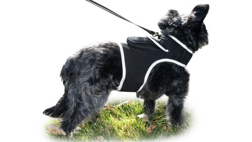 Mini Collar Android GPS Pet Tracker Waterproof Pet Locator GSM System (size: L)