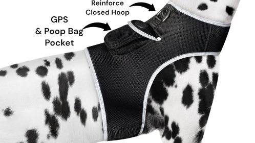 Pet Tracker Waterproof GPS for Pets w/ Downloadable Realtime Tracking App (size: L)