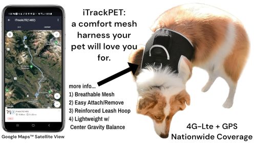 Pet Tracker Waterproof GPS Pet Collar Tracking Device - Best Pet Security (size: L)
