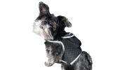 Pet Tracker Rechargeable Tracking Device Best GPS Tracker for Small Medium Big Pets