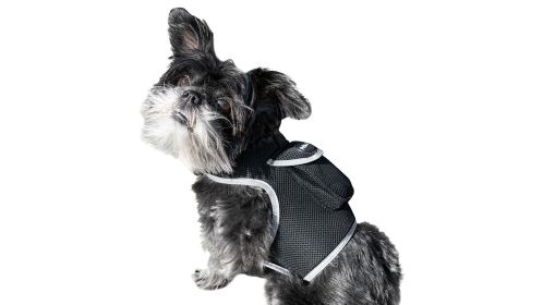 Pet Tracker Rechargeable Tracking Device Best GPS Tracker for Small Medium Big Pets (size: L)