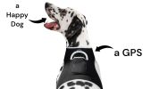 Pocket GPS Phone Pet Tracker GeoFence Capable Finder w/ Battery Alerts