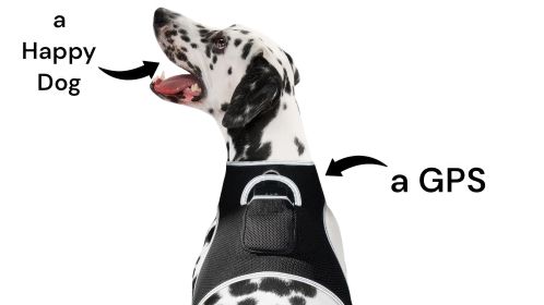 Pet Tracker Wireless Mini Collar Tracking Device with GPS Pet Tracking App (size: L)