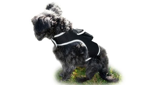 Pet Tracker Mini GPS Dog Tracking Device Made from Pet-Friendly Materials (size: L)