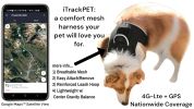 Hunting Made Easy w/ NEW Pet Tracker GPS Tracking Collars for Hunting Dogs
