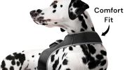 Rechargeable Mini GPS Realtime Pet Tracking Collars for Hunting Dogs