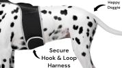 Pet Tracker Rechargeable Pet Collar Tracker Best GPS Tracking Device + Realtime App