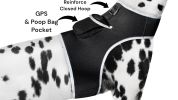 NEW Mini Pet Tracker GPS Collar for Dog Compatible for iPhone Android