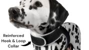 Pocket Animal Tracker GPS GSM Realtime Pet Location Finder Waterproof