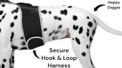 Android Compatible GSM Pet Locator Pet Tracker Cat Dog GPS Tracking System