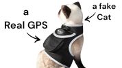 Pocket Collar GPS for Pets Tracking Realtime Wearable Tracking System