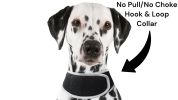 PetTrack - Mini Waterproof Realtime GPS Pet Tracker Cat Collar Mounted