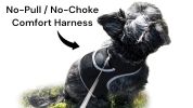 Pet Tracker Rechargeable GSM GPS Tracking Device Realtime Locator + Pet Tracking App