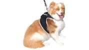 Pet Tracker Rechargeable GPS Tracking Collars for Dogs Globally Used Pet GSM Tracker