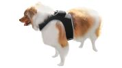 Pet Tracker Smallest Pet Tracker Realtime GSM GPS Wireless Dog Cat Locator