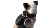 Protect Pet Remotely w/ Pet Tracker Mini Realtime GPS Dog Tracking Systems