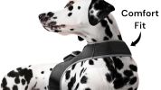 Waterproof Realtime Pet Tracking Portabe Mini GSM GPRS Dog Cat Tracker