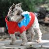Dog Cable Knit 100% Cotton Sweater Ugly Snowman